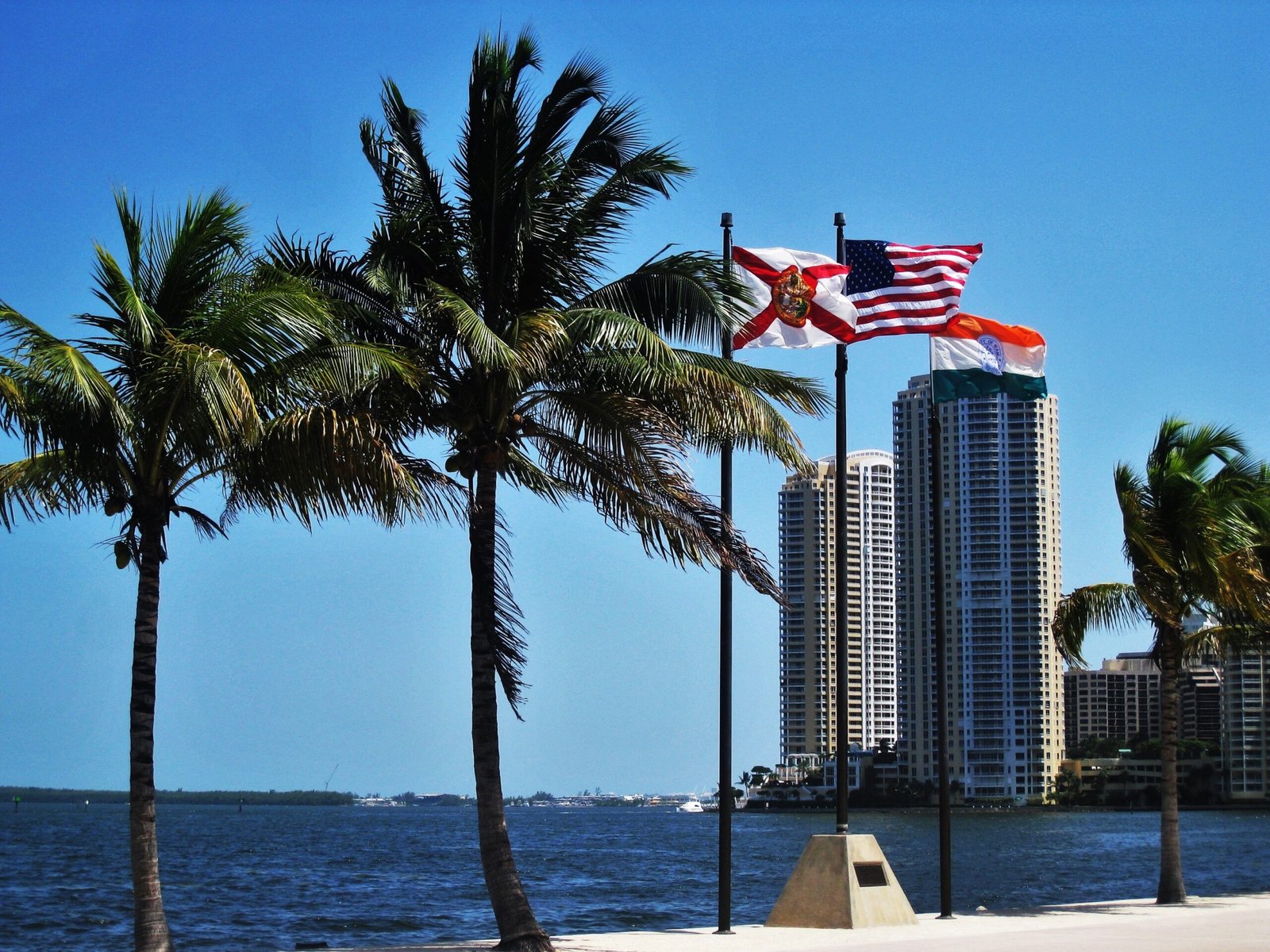 Miami small business owner reviewing funding options with Business Access USA